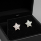 Silver Dazzling Pave Crystal Star Stud Earring (Copy)